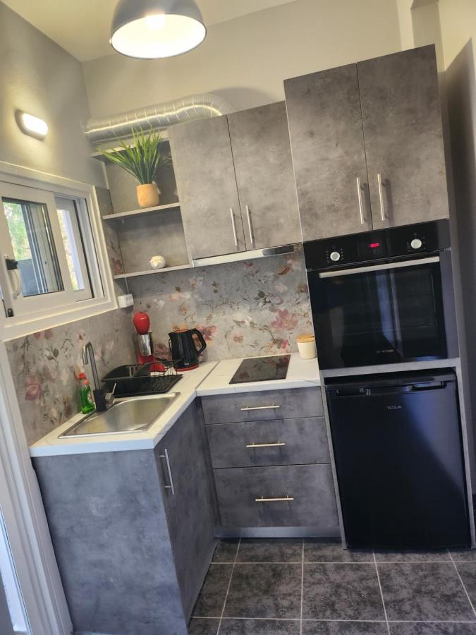 Small Luxury Daire Anavyssos